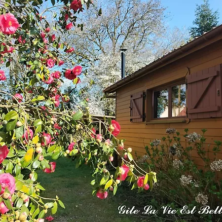 Dans Un Petit Coin De Paradis, La Vie Est Belle Tatil Evi Canlers