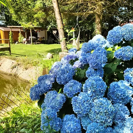 Dans Un Petit Coin De Paradis, La Vie Est Belle * Canlers